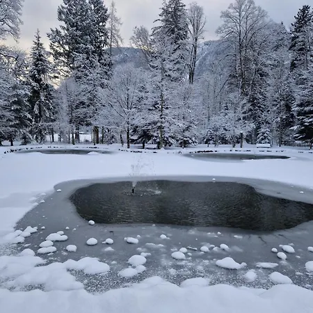 Apartment Alpenliebe Lofer - Bergblick & Pool Sankt Martin bei Lofer