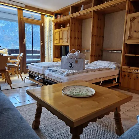Alpenliebe Lofer - Bergblick & Pool Apartment Sankt Martin bei Lofer